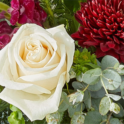 Cranberry Fizz Bouquet –  Zapateria Y Floreria Hernandez, San Jose CA