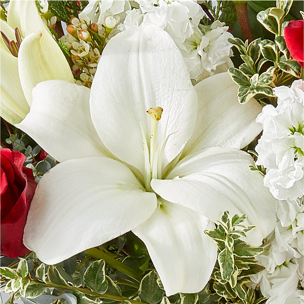 Twinkle Lights Bouquet –  Zapateria Y Floreria Hernandez, San Jose CA