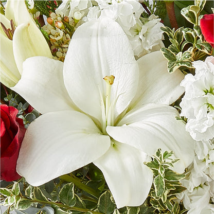Twinkle Lights Bouquet –  Zapateria Y Floreria Hernandez, San Jose CA