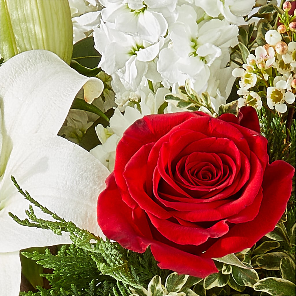 Twinkle Lights Bouquet –  Zapateria Y Floreria Hernandez, San Jose CA