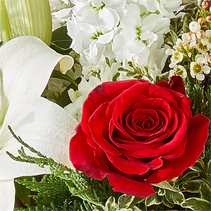 Twinkle Lights Bouquet –  Zapateria Y Floreria Hernandez, San Jose CA