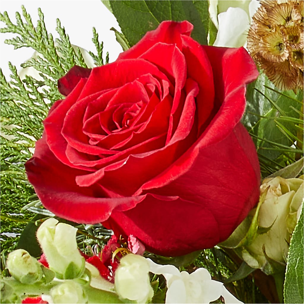 Deck the Halls Bouquet –  Zapateria Y Floreria Hernandez, San Jose CA
