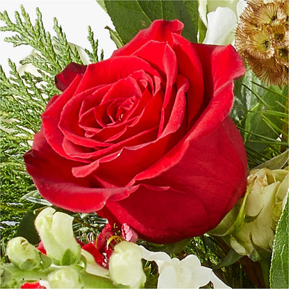 Deck the Halls Bouquet –  Zapateria Y Floreria Hernandez, San Jose CA