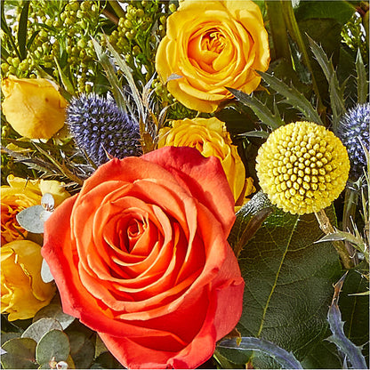 Disco Bouquet –  Zapateria Y Floreria Hernandez, San Jose CA