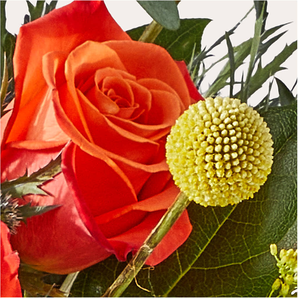 Disco Bouquet –  Zapateria Y Floreria Hernandez, San Jose CA