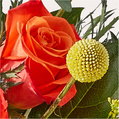 Disco Bouquet –  Zapateria Y Floreria Hernandez, San Jose CA