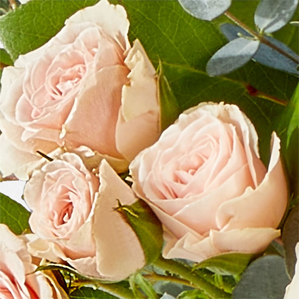 Inspired Bouquet –  Zapateria Y Floreria Hernandez, San Jose CA