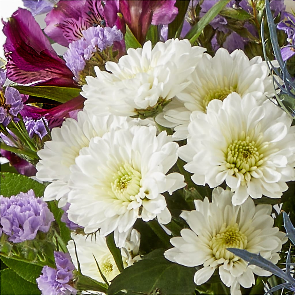 Shooting Star Bouquet –  Zapateria Y Floreria Hernandez, San Jose CA
