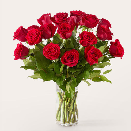 The One Red Rose Bouquet –  Zapateria Y Floreria Hernandez, San Jose CA