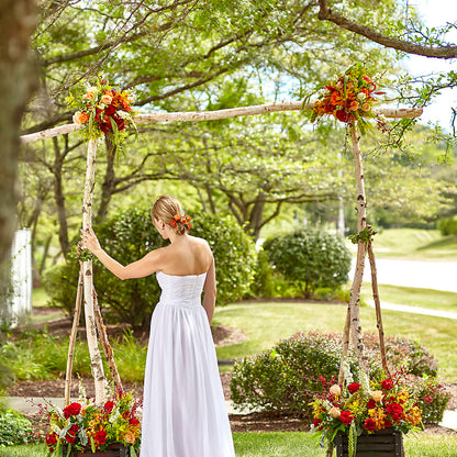 Arbor of Love Archway –  Zapateria Y Floreria Hernandez, San Jose CA