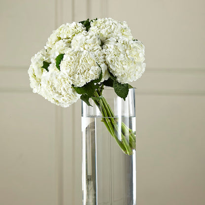 White Hydrangea Hand-Tied Bouquet –  Zapateria Y Floreria Hernandez, San Jose CA