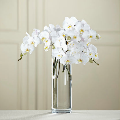 White Phalaenopsis Bouquet –  Zapateria Y Floreria Hernandez, San Jose CA