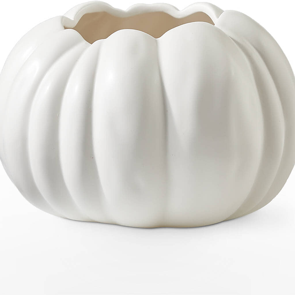 Pumpkin to Talk About Bouquet –  Zapateria Y Floreria Hernandez, San Jose CA